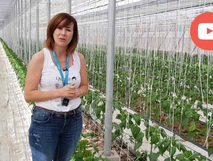 rocio lopez, Bioline Iberia