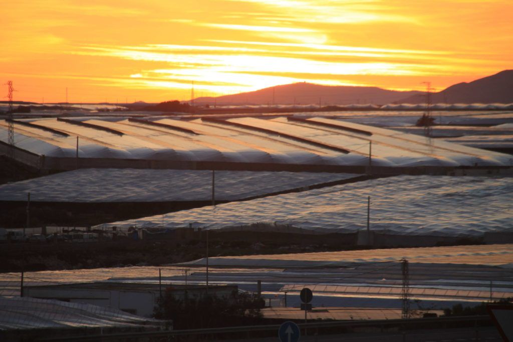Agro almeriense, ejemplo para la ONU
