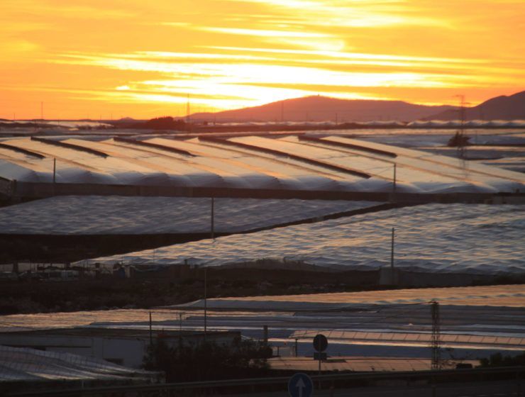 Agro almeriense, ejemplo para la ONU