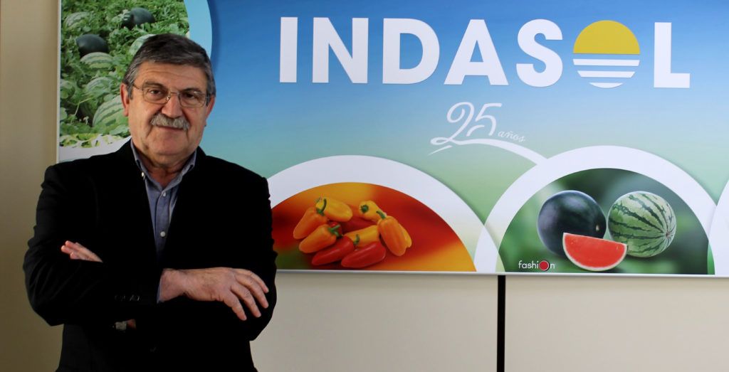 Indasol cierre de campaña