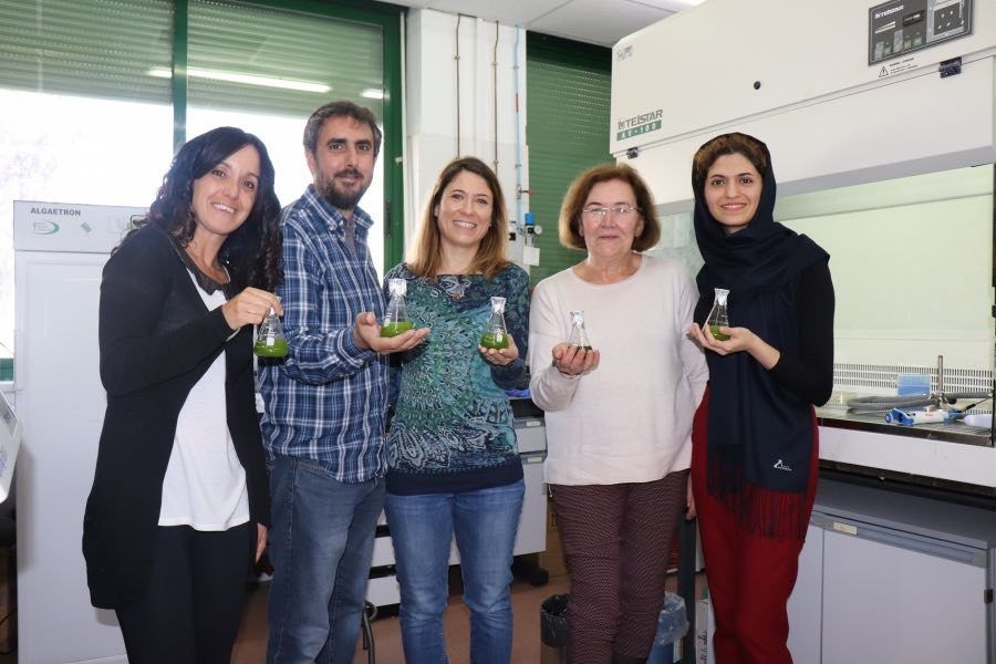 Investigadores del proyecto de biorremediación de Córdoba.