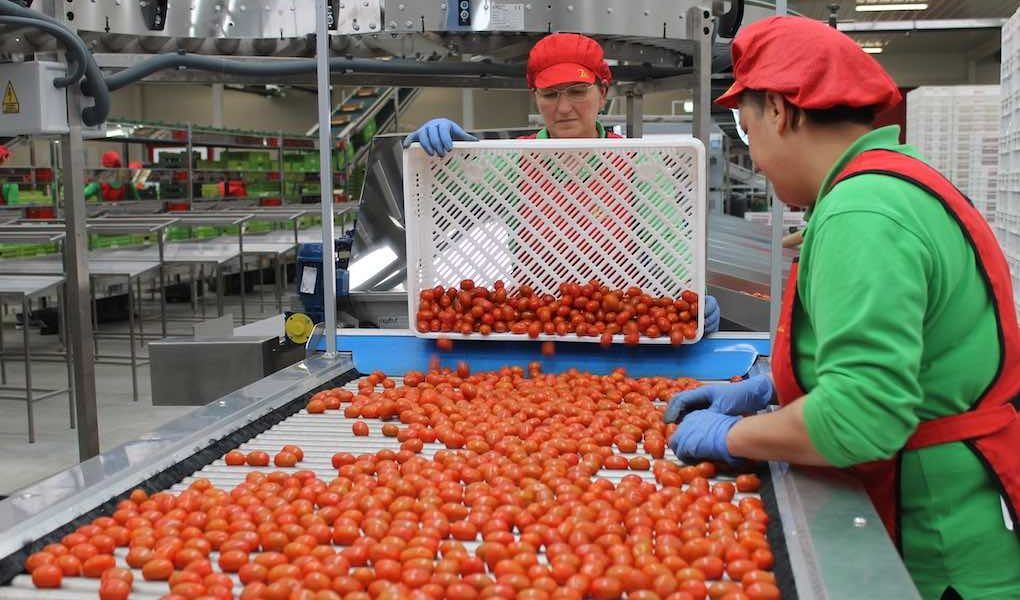Biosabor producción ecológica