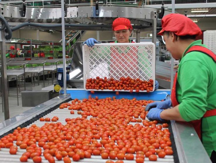 Biosabor producción ecológica