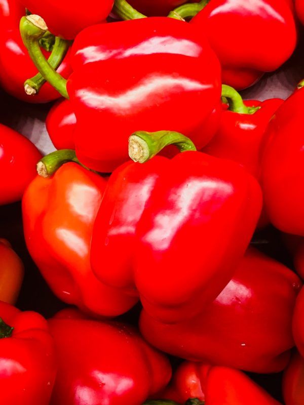 pimiento rojo