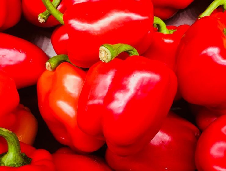 pimiento rojo