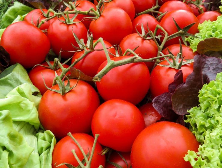 Almeria seguridad alimentaria