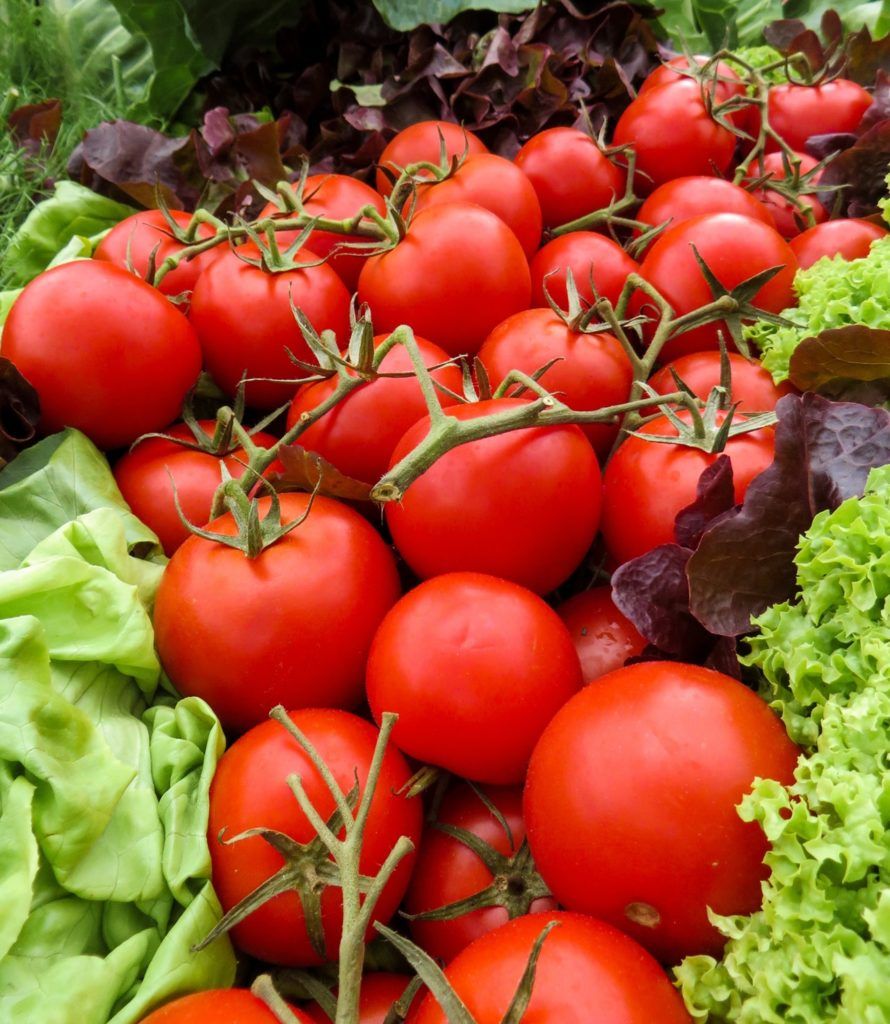 Almeria seguridad alimentaria
