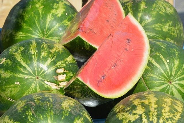 sandia