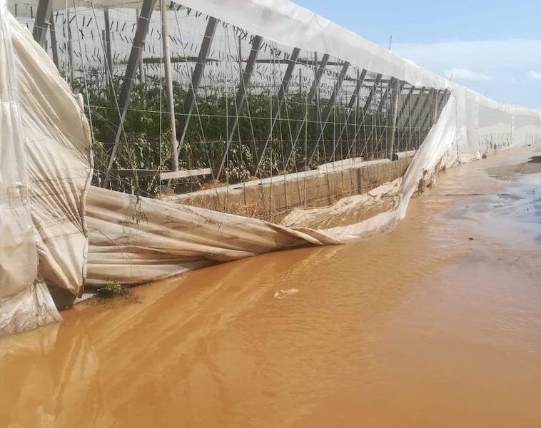 invernadero daño lluvias