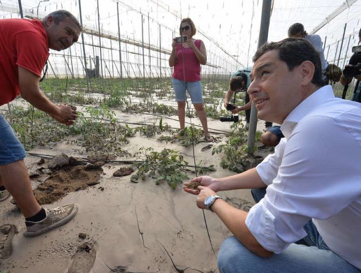 presidente de la Junta de Andalucía