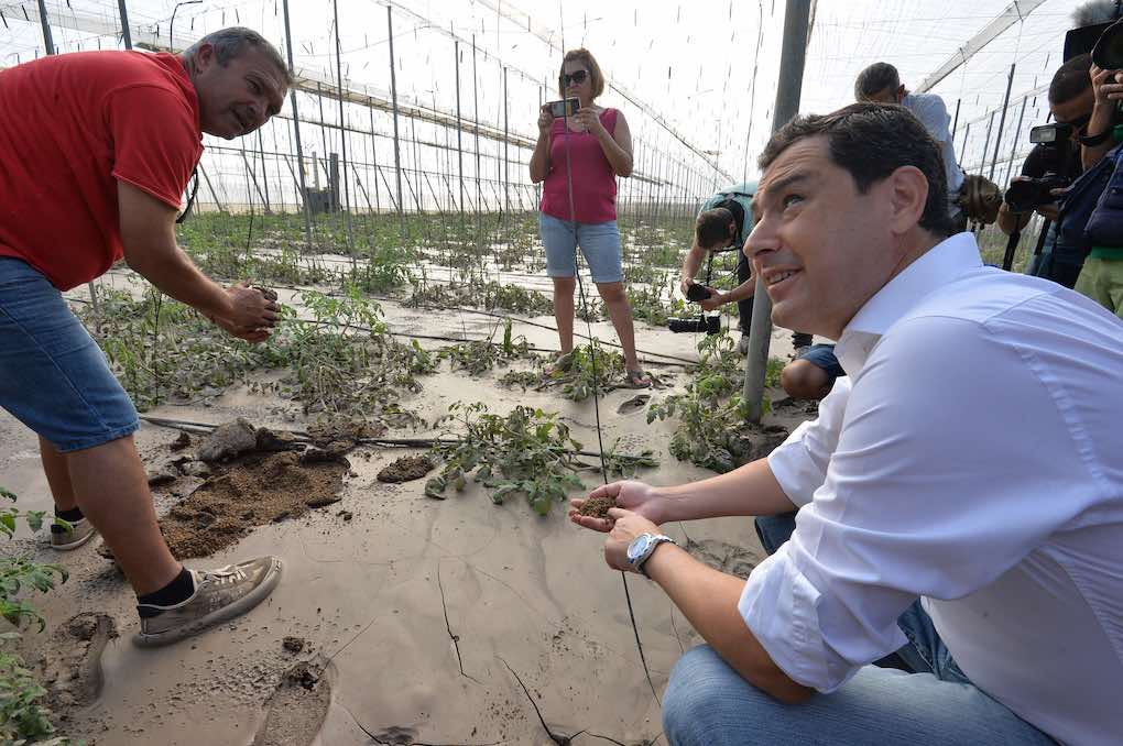 presidente de la Junta de Andalucía