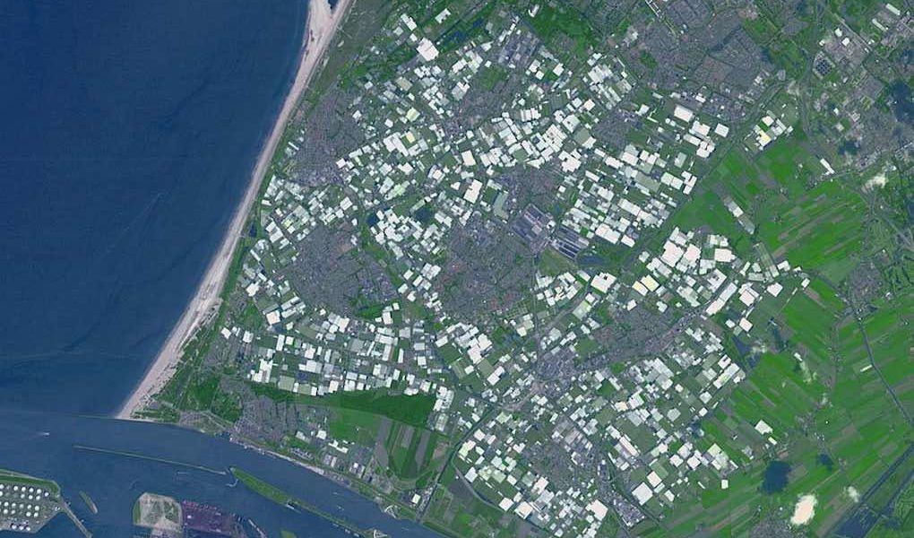 Westland, principal zona invernada de Holanda,