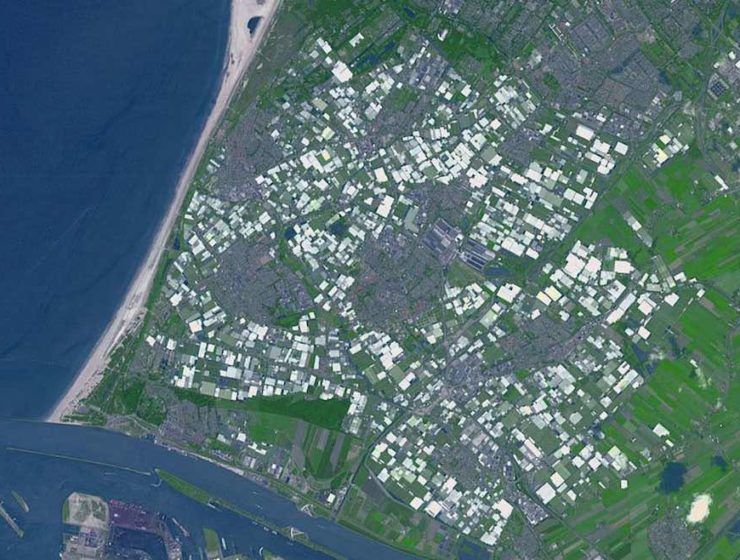 Westland, principal zona invernada de Holanda,