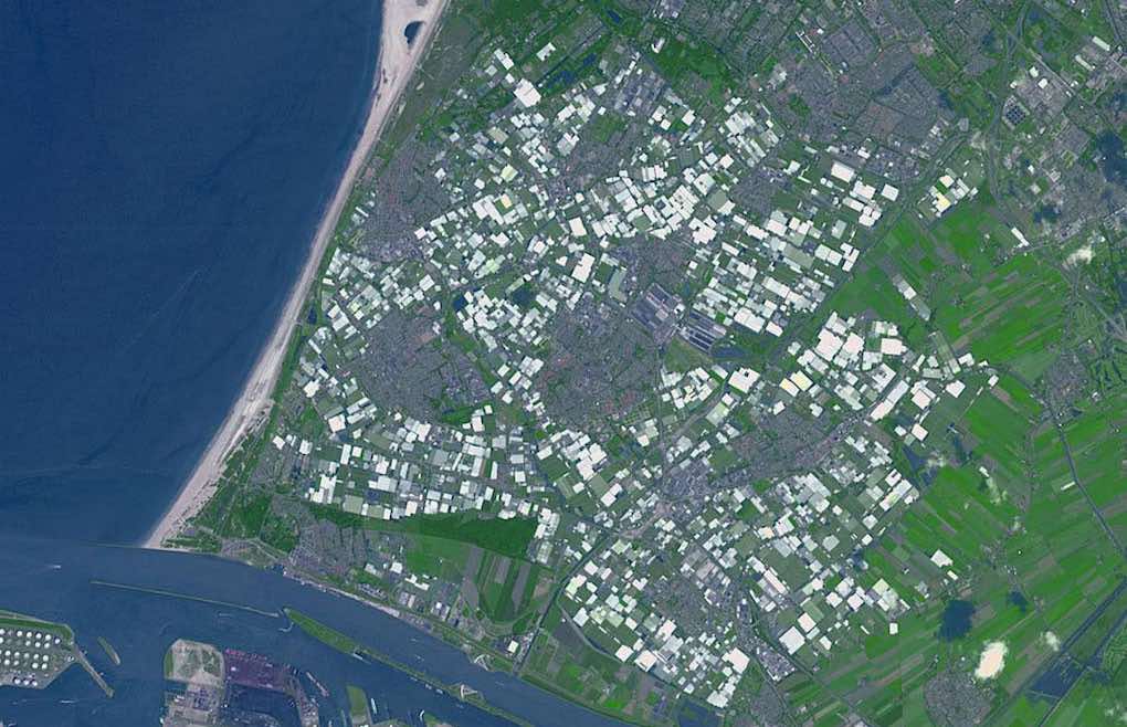Westland, principal zona invernada de Holanda,