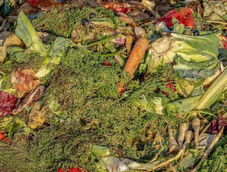 desperdicio alimentario