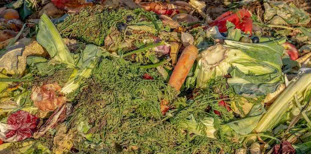 desperdicio alimentario