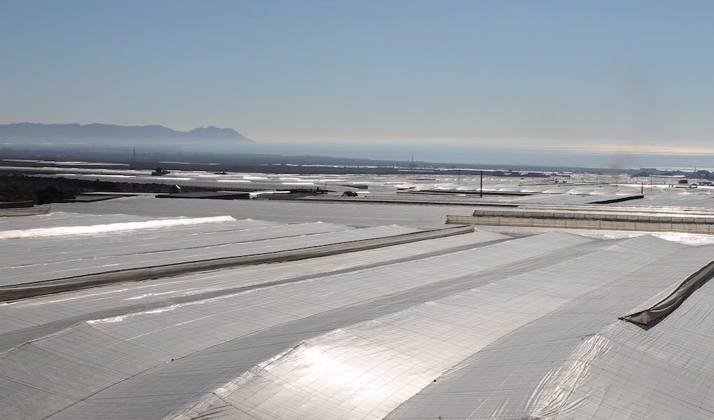 invernaderos Almería