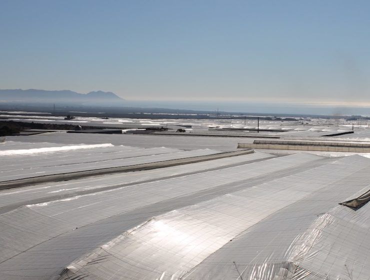invernaderos Almería
