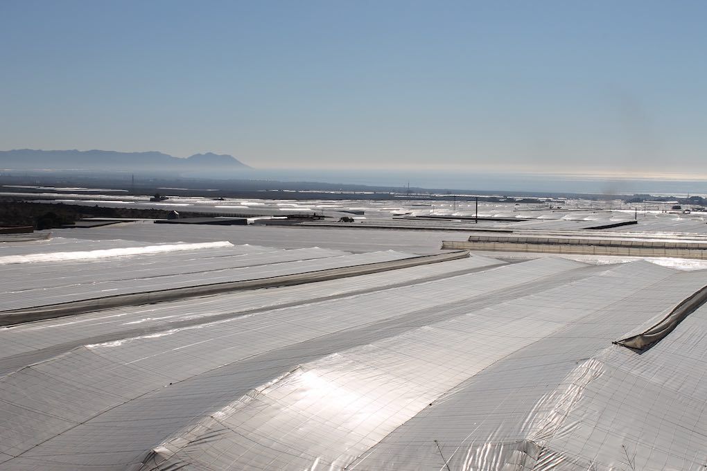 invernaderos Almería