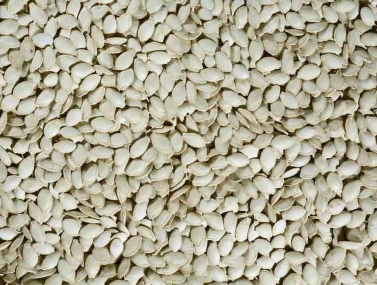 semillas cucurbitaceas
