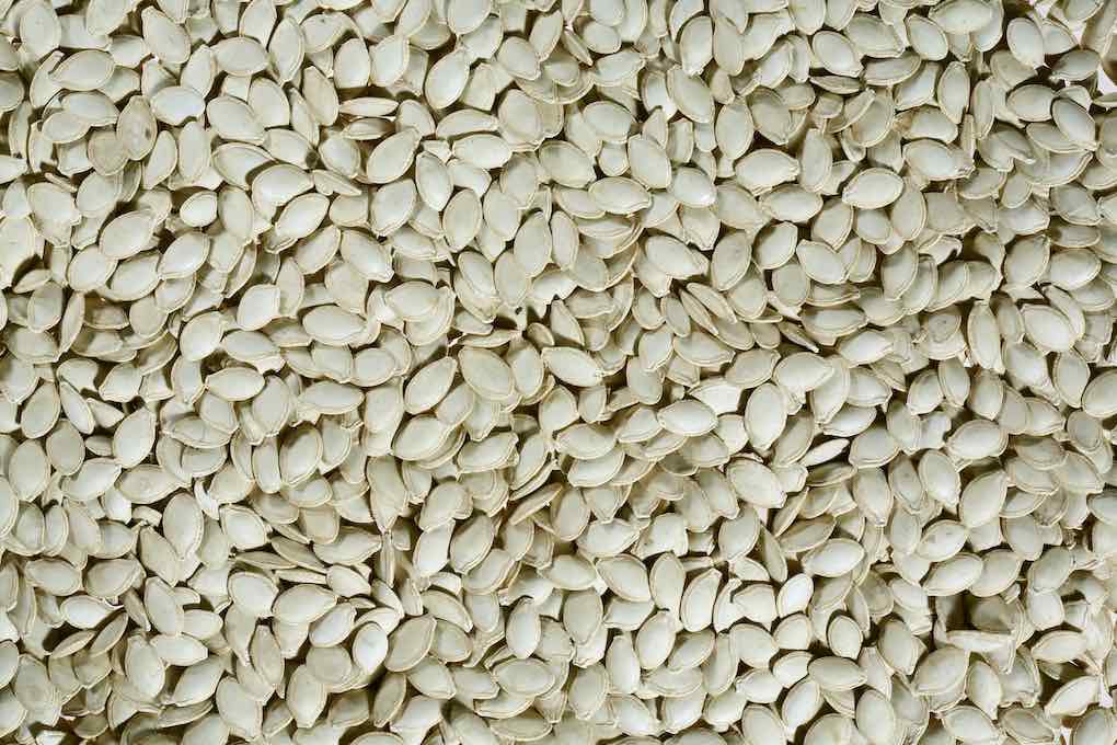 semillas cucurbitaceas