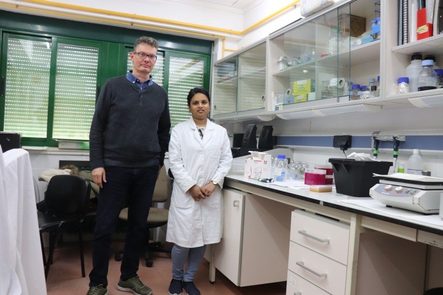 microbioma sintético