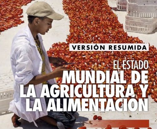portada estudio FAO