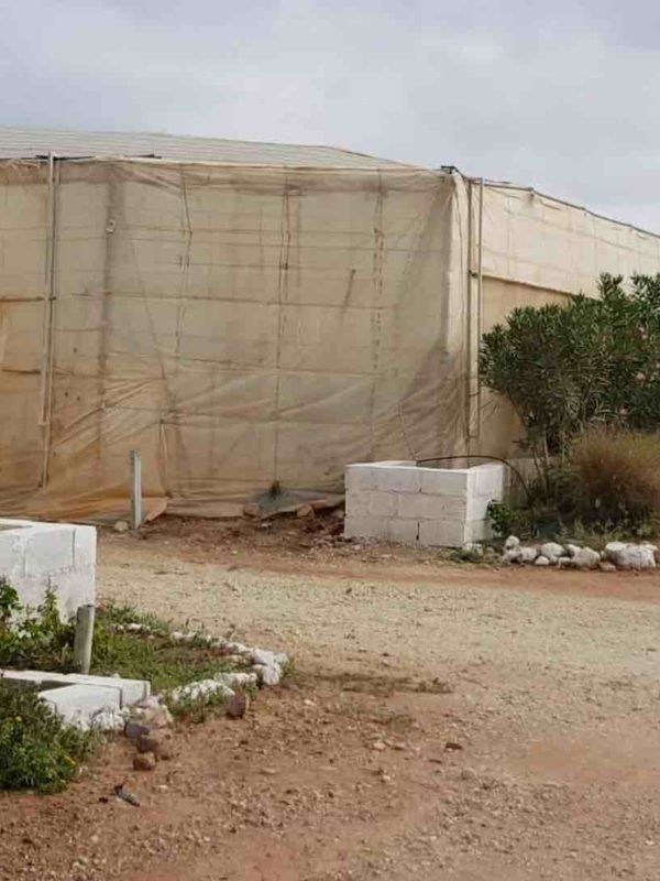 setos vegetales en invernaderos