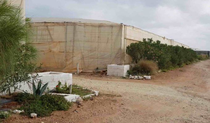 setos vegetales en invernaderos
