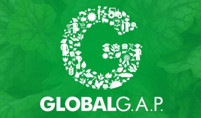Global GAP verde