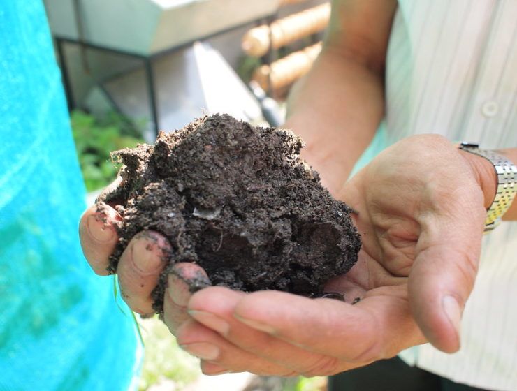 biochar o biocarbón