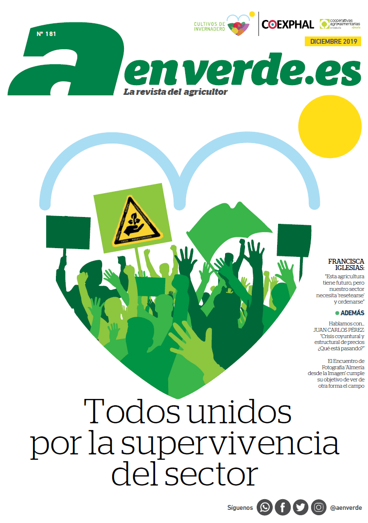 Nº181 diciembre