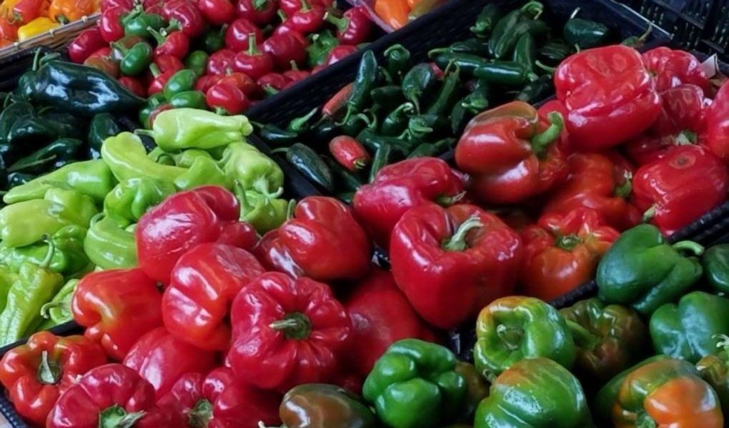 pimientos