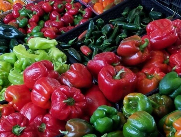 pimientos