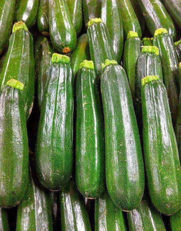 calabacines