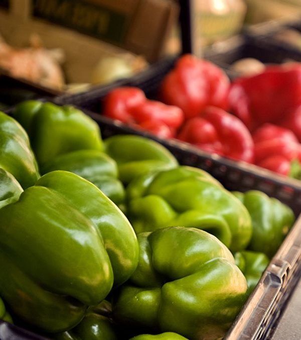 pimientos