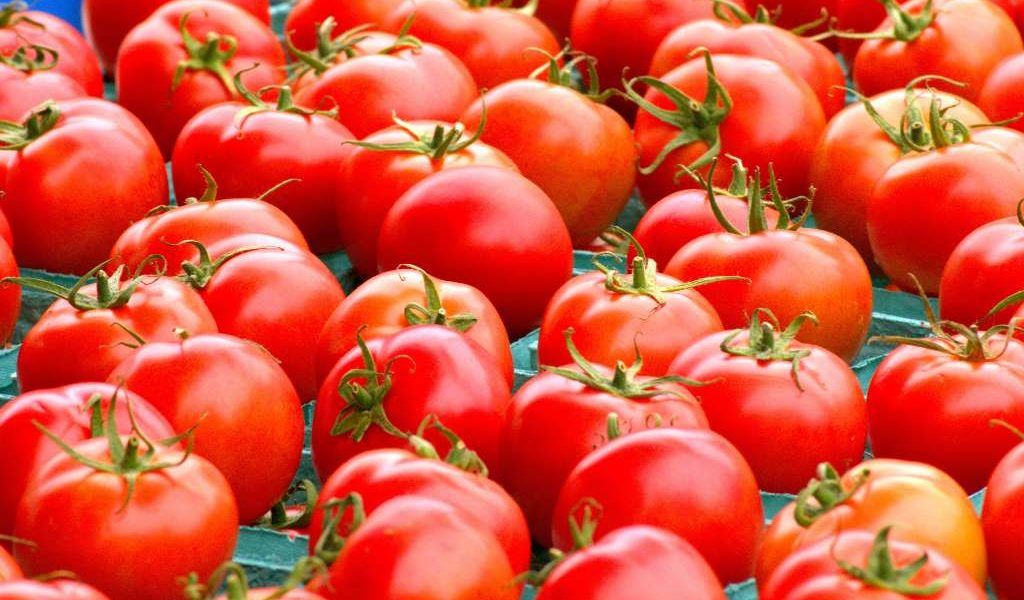importacion de tomates