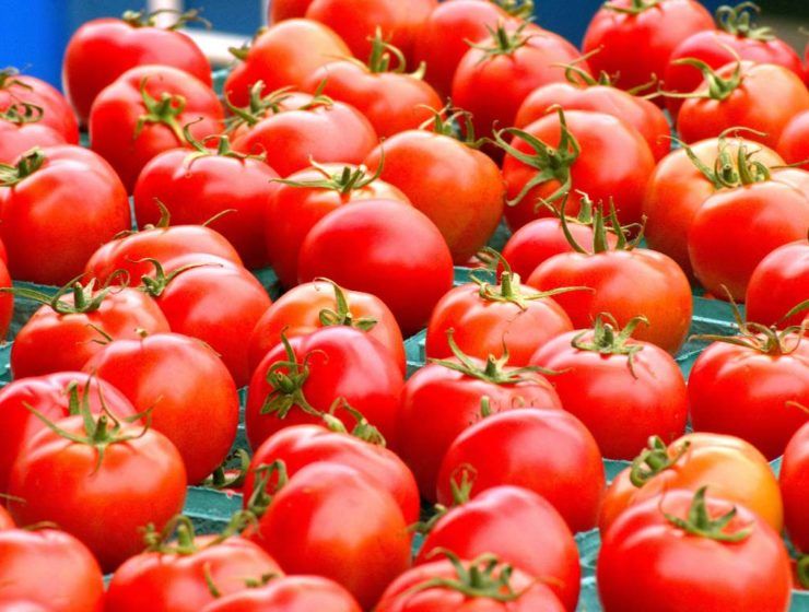 importacion de tomates
