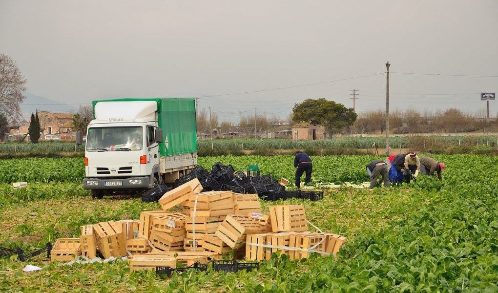 agricultores termporeros