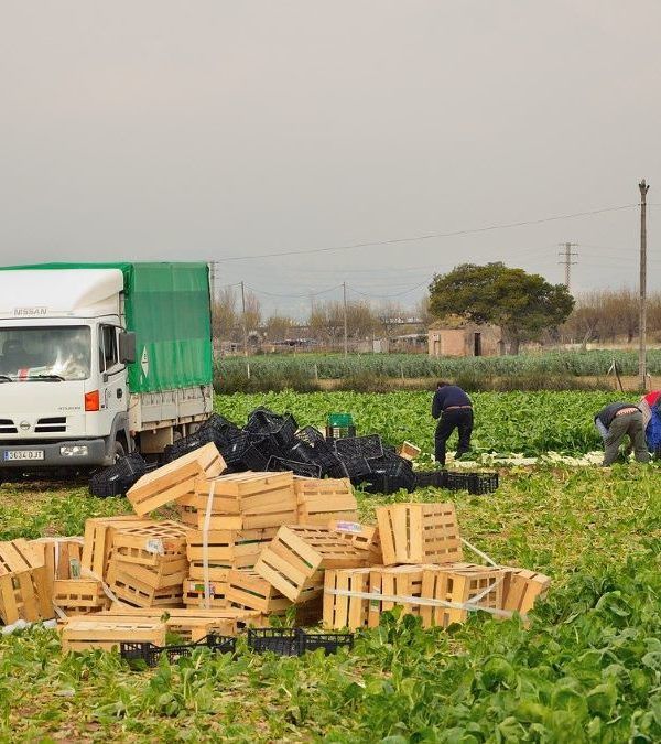 agricultores termporeros