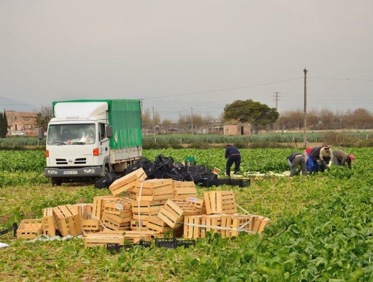 agricultores termporeros