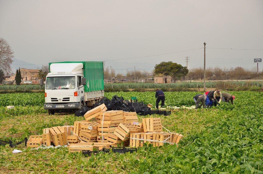agricultores termporeros