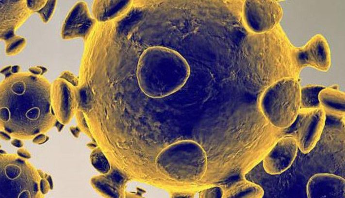 coronavirus COVID-19