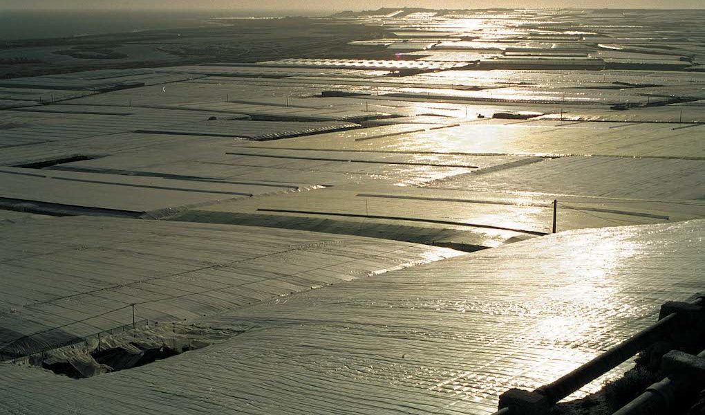 Panorámica de invernaderos de Almería.