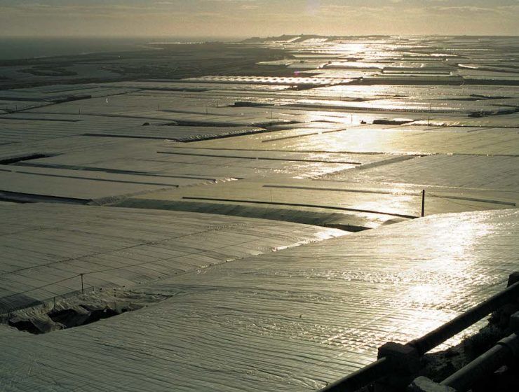 Panorámica de invernaderos de Almería.