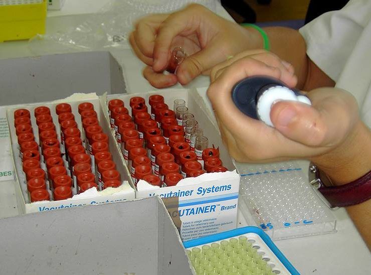 laboratorio junta
