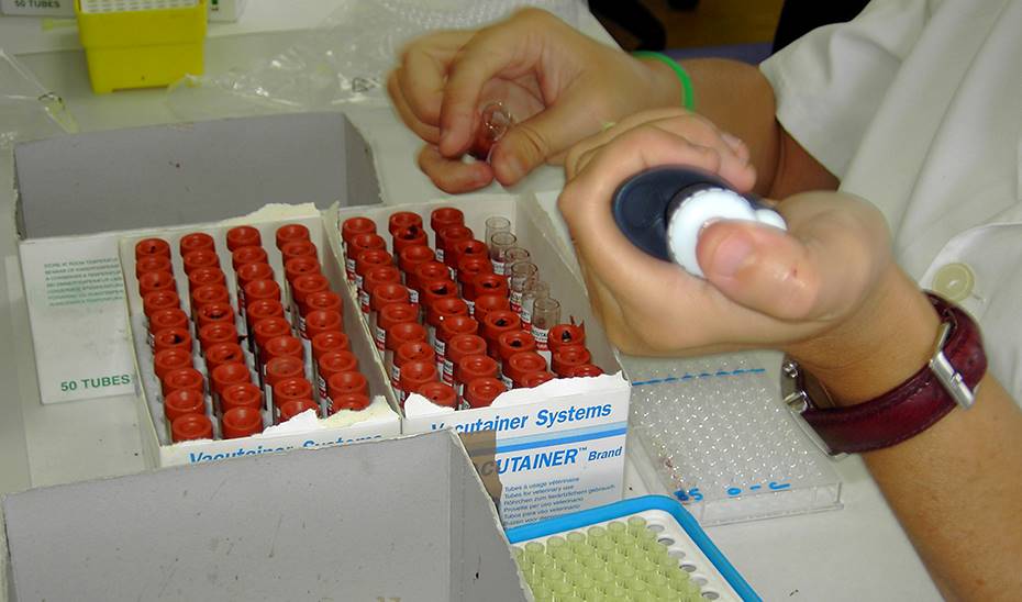 laboratorio junta