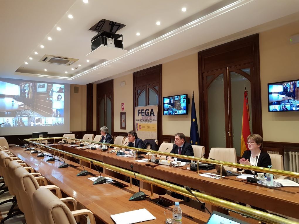 El ministro de Agricultura en videoconferencia con los consejeros y consejeras de Agricultura.
