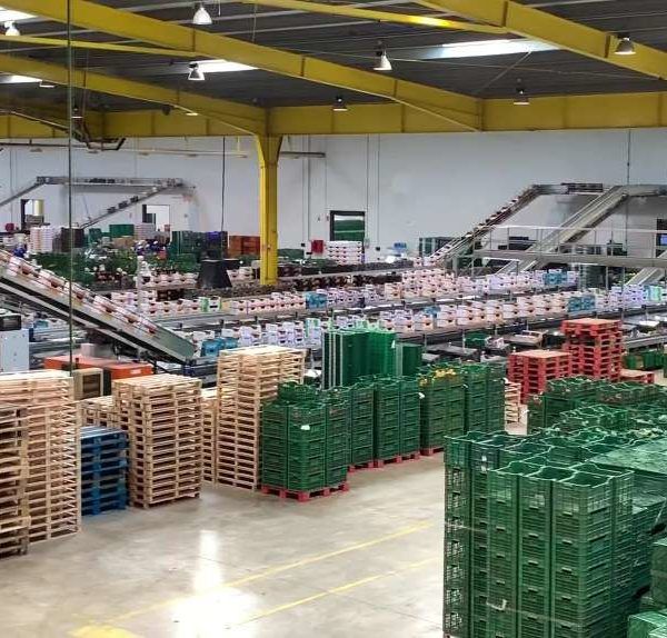 Empresa almacén hortofrutícola