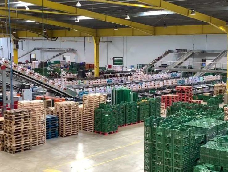 Empresa almacén hortofrutícola